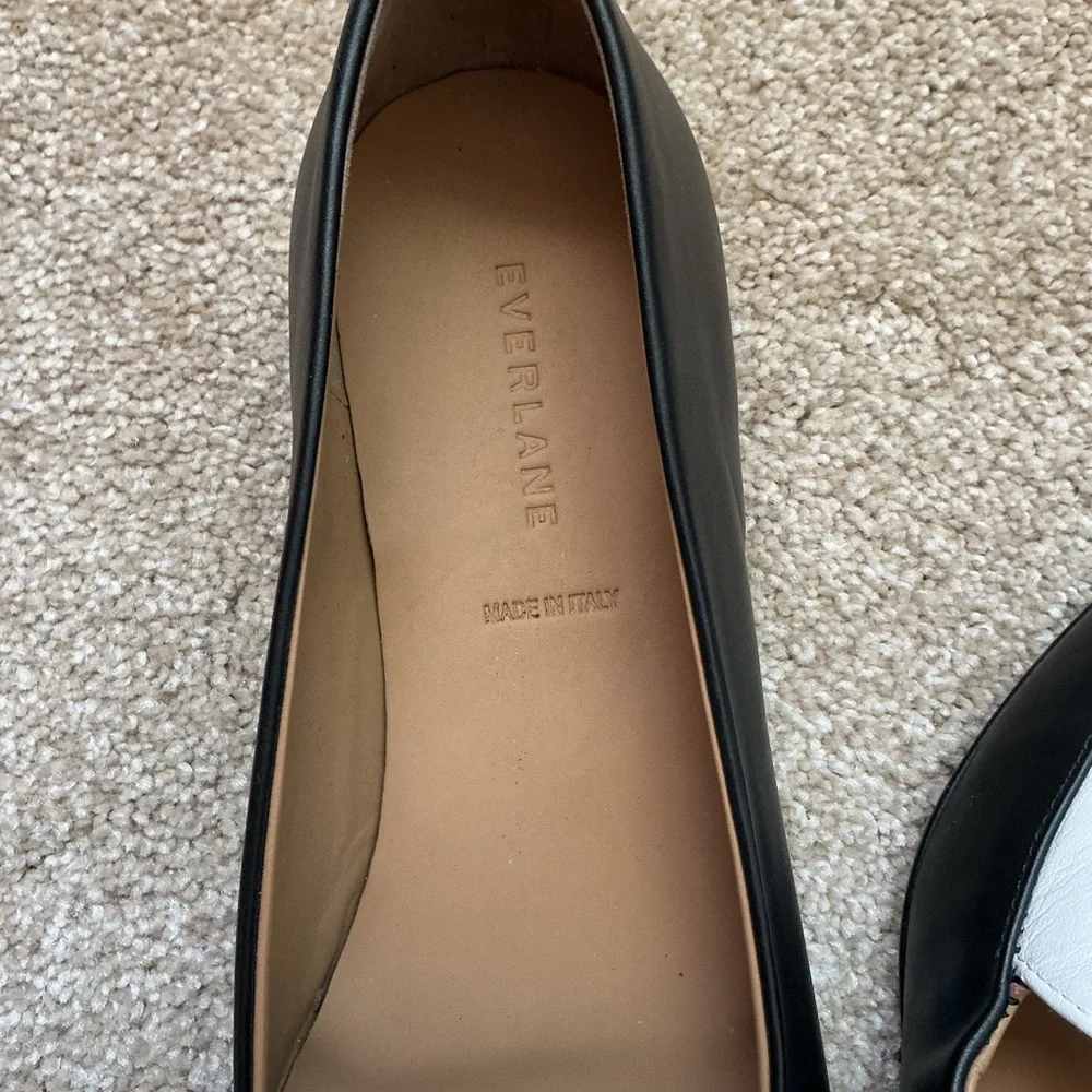 Everlane new sleek